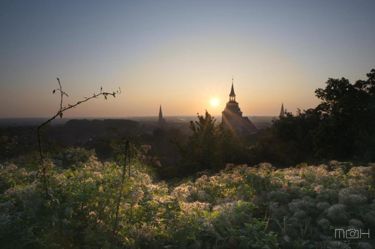 Haus Mila Hotel Bienenbuettel ภายนอก รูปภาพ